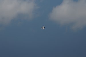 DSC02621